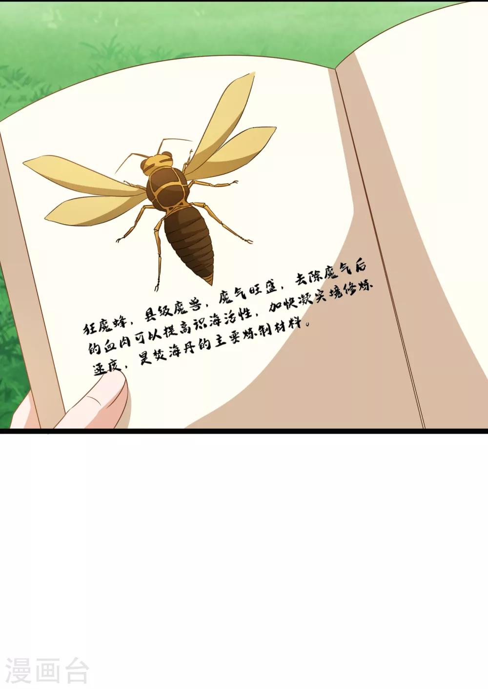 第27话 连小动物都不放过-第30话