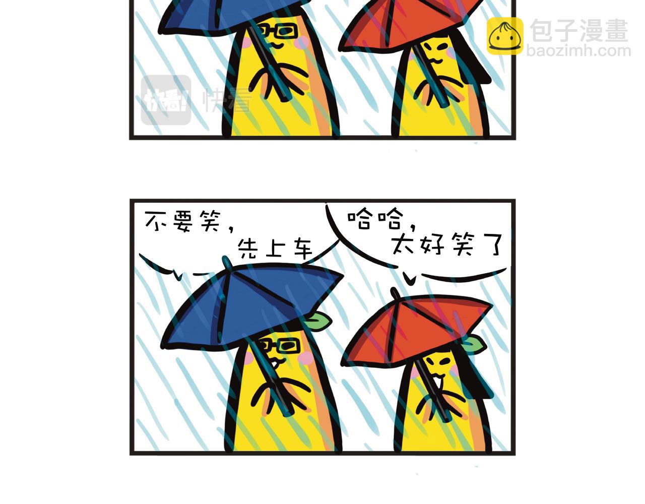 蕉爷日记：一家四蕉 - 下大雨的星期五 - 2