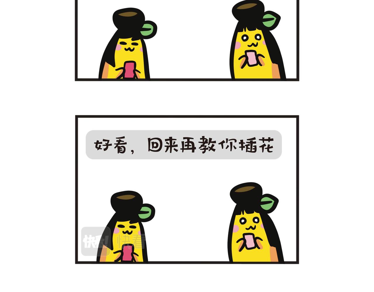 蕉爷日记：一家四蕉 - 花艺活动 - 5