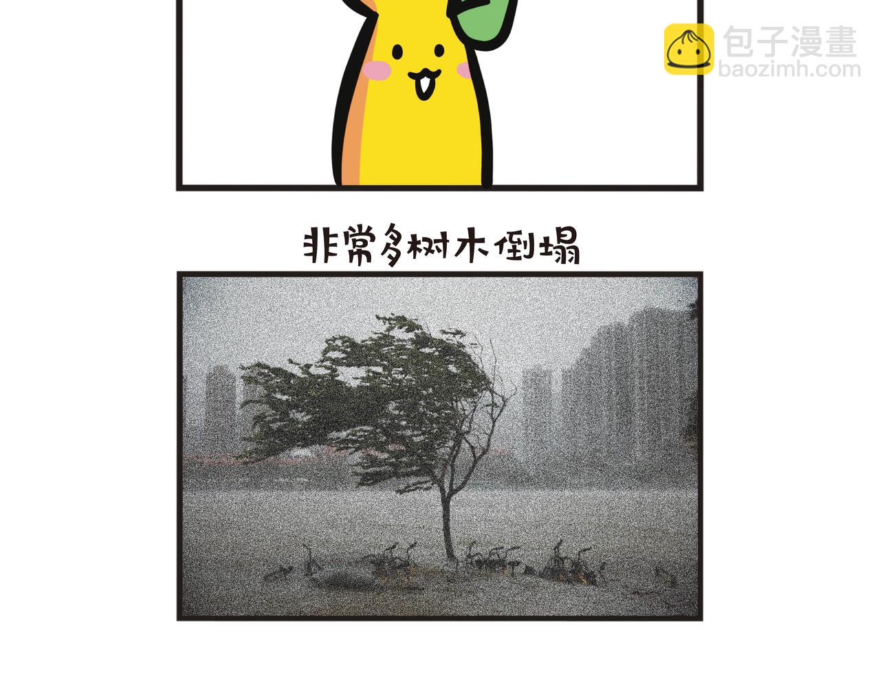 台风抗灾行动-第70话