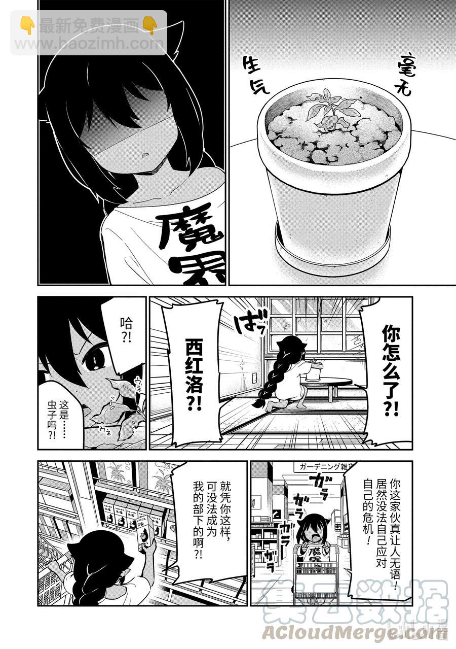 迦希大人不氣餒！ - 33 迦希大人與西紅柿 - 2