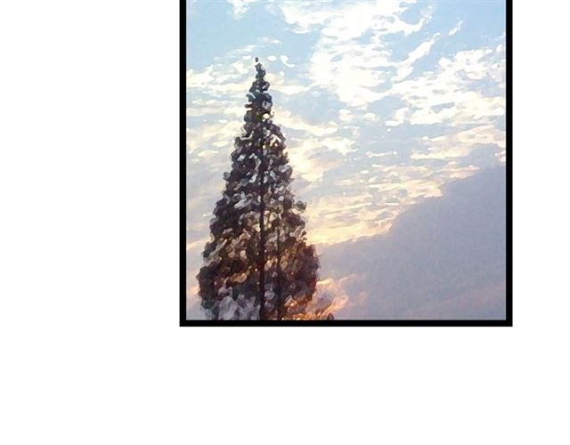 第37话 柳少爷上门(1/2)-第38话