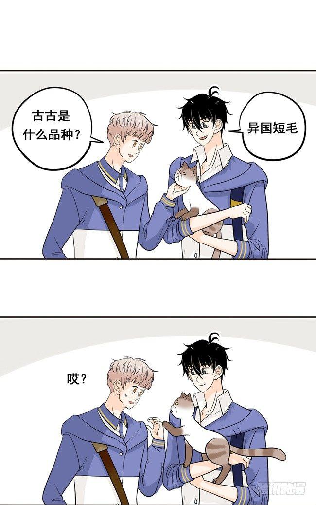 12 你也是猫吗！-第12话