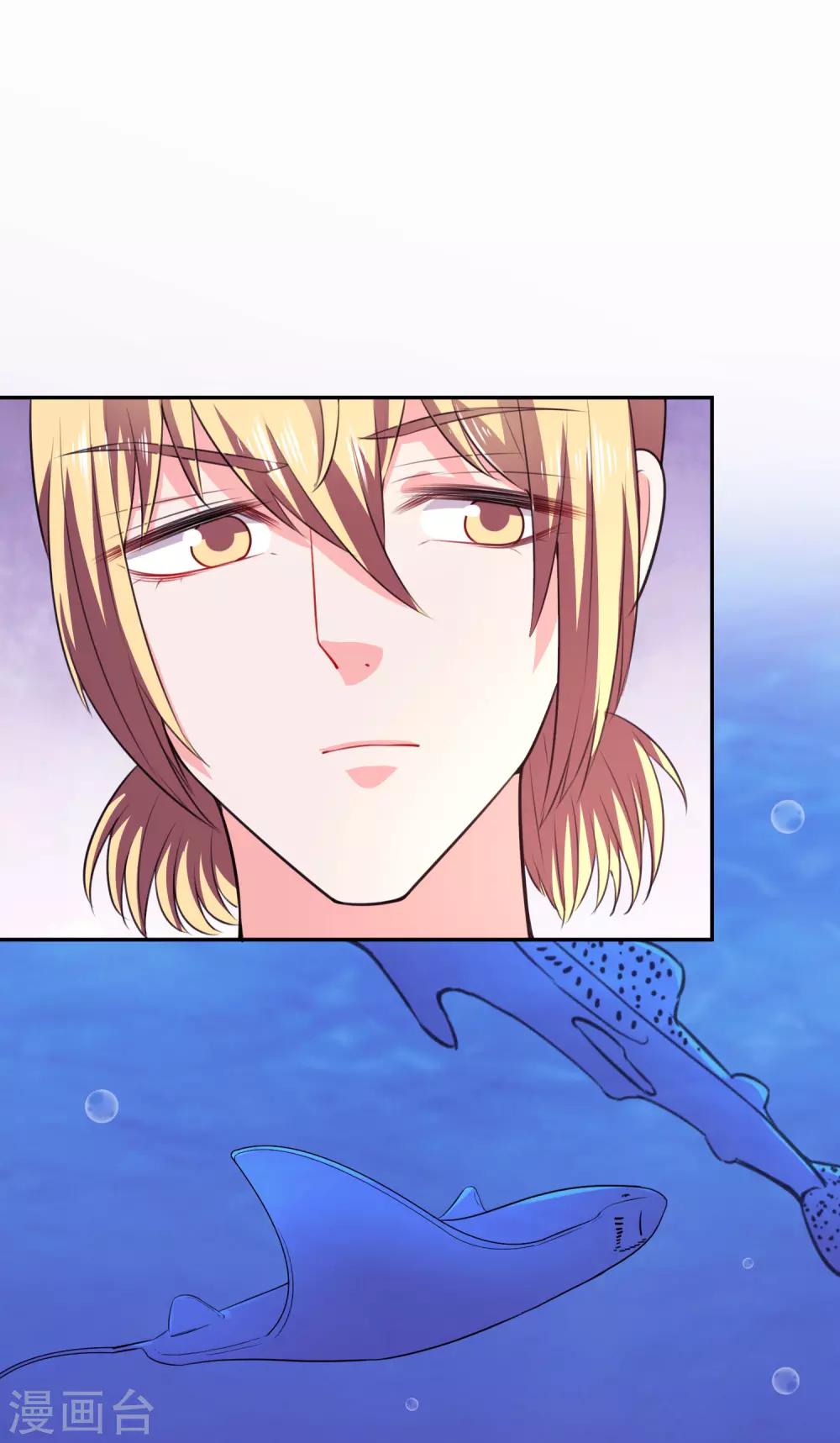 第25话 海洋餐厅-第26话