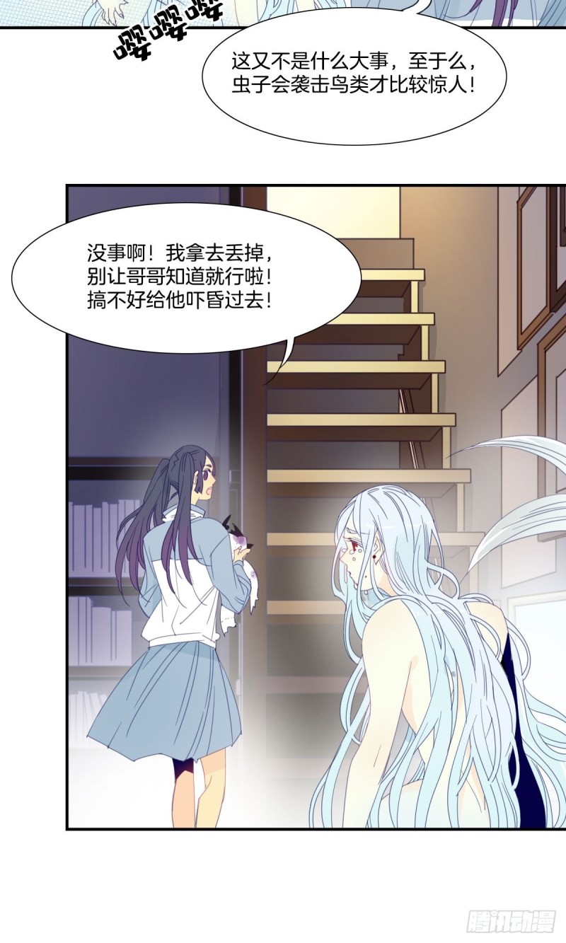 二十三话-第24话