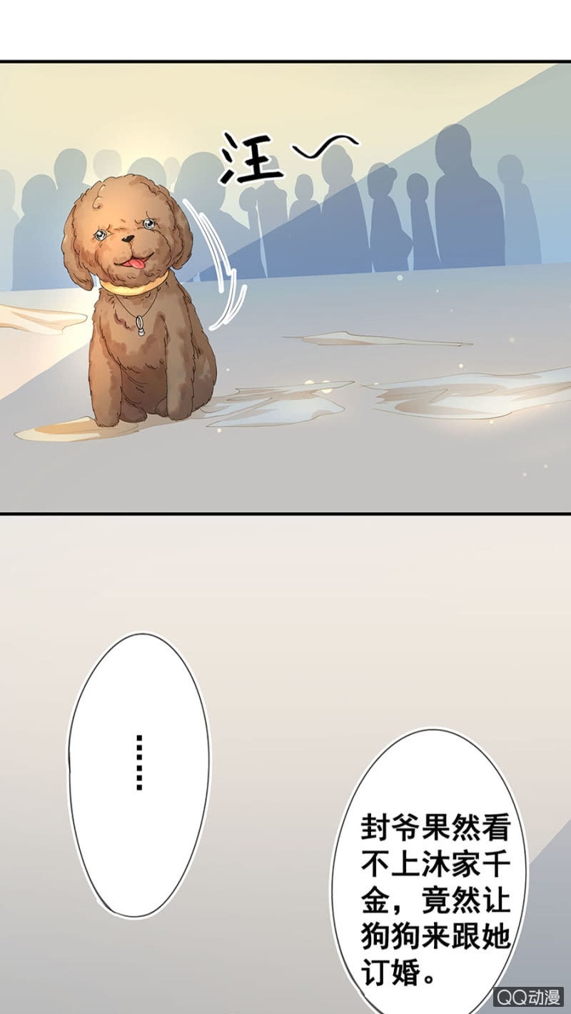 跟狗订婚-第4话