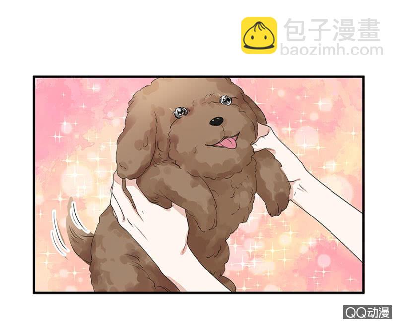 跟狗订婚-第4话