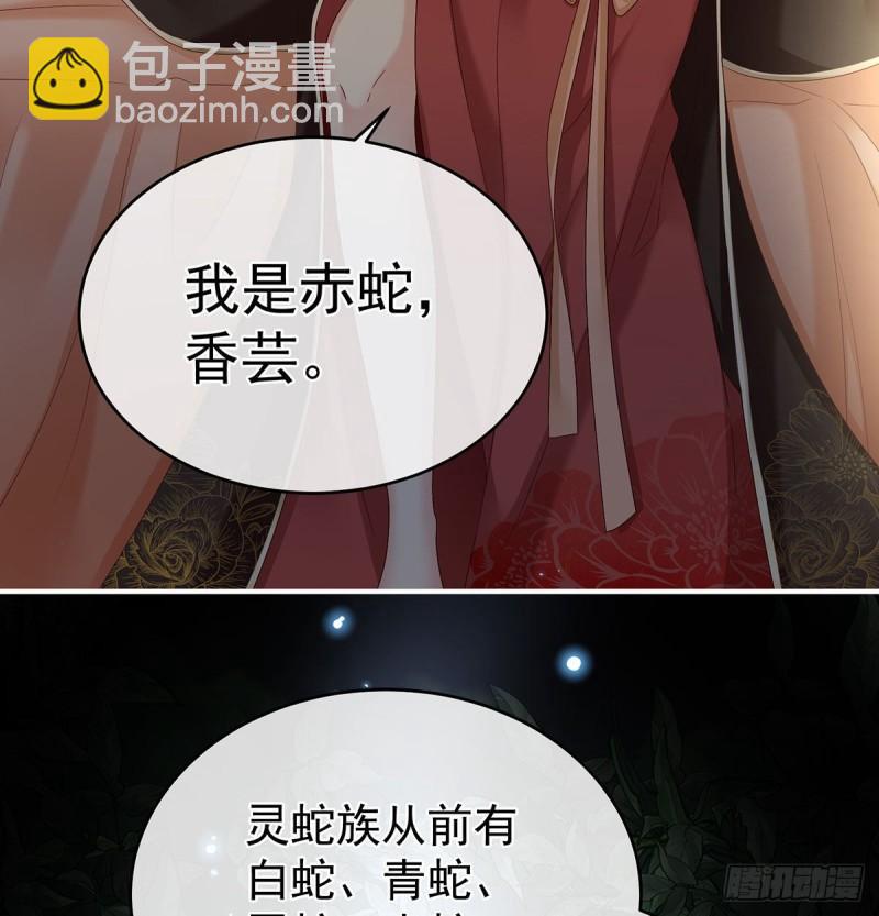 生很多蛇宝宝(1/2)-第66话