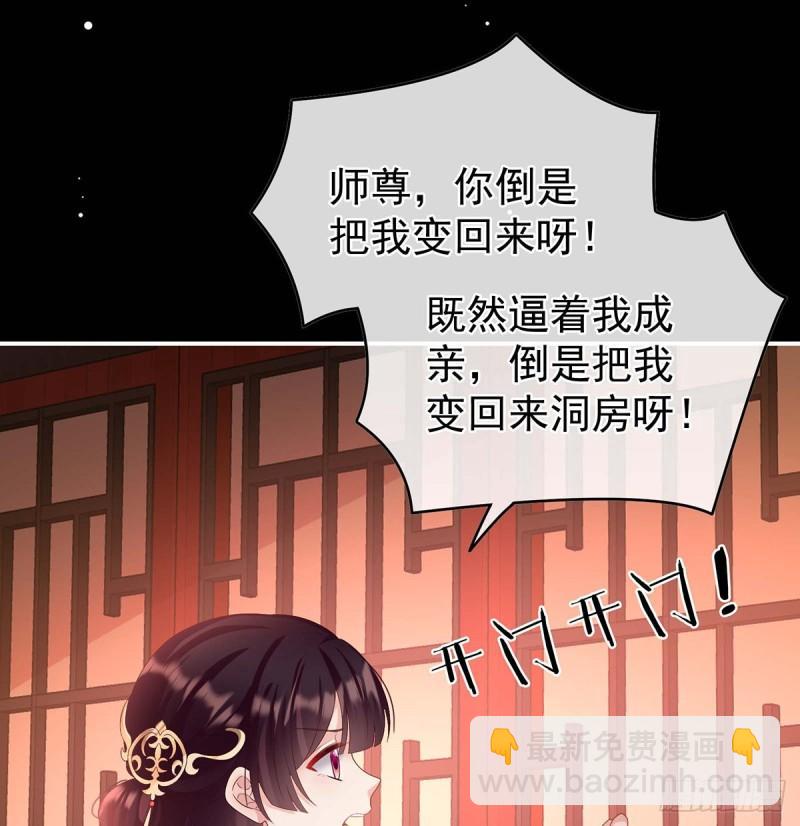 成亲(1/2)-第78话