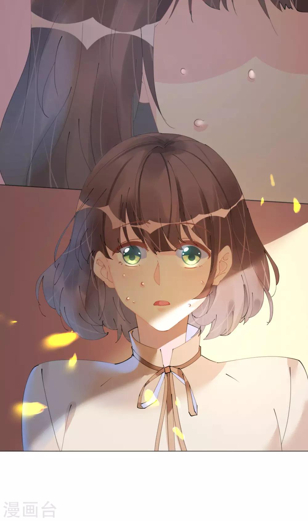 第103话 腹黑小野猫-第104话