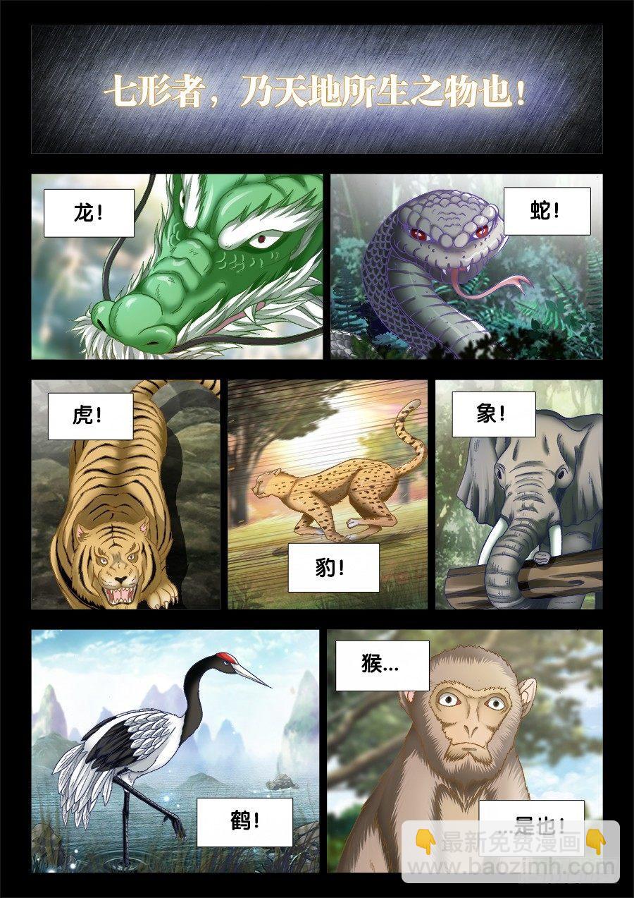 004、七形禁地！-第4话