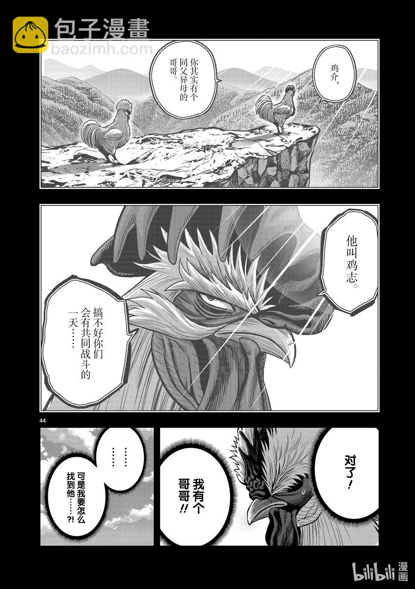 鸡斗士 - 第20只 鸡皮鹤发(1/2) - 4