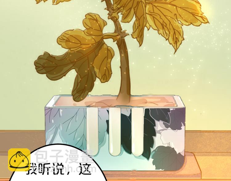 第16话 一切都是阴谋(1/2)-第16话