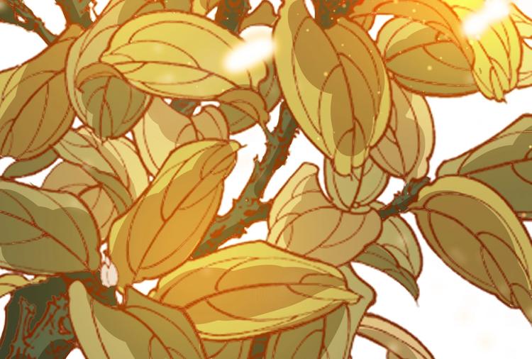 第22话 今日就是你的死期！(1/2)-第22话