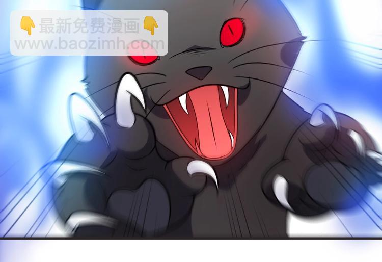 第38话 黑猫惊魂(1/2)-第38话