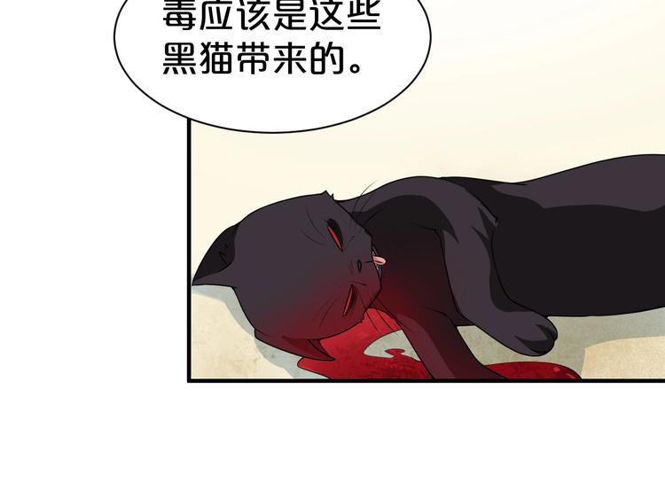 第38话 黑猫惊魂(1/2)-第38话