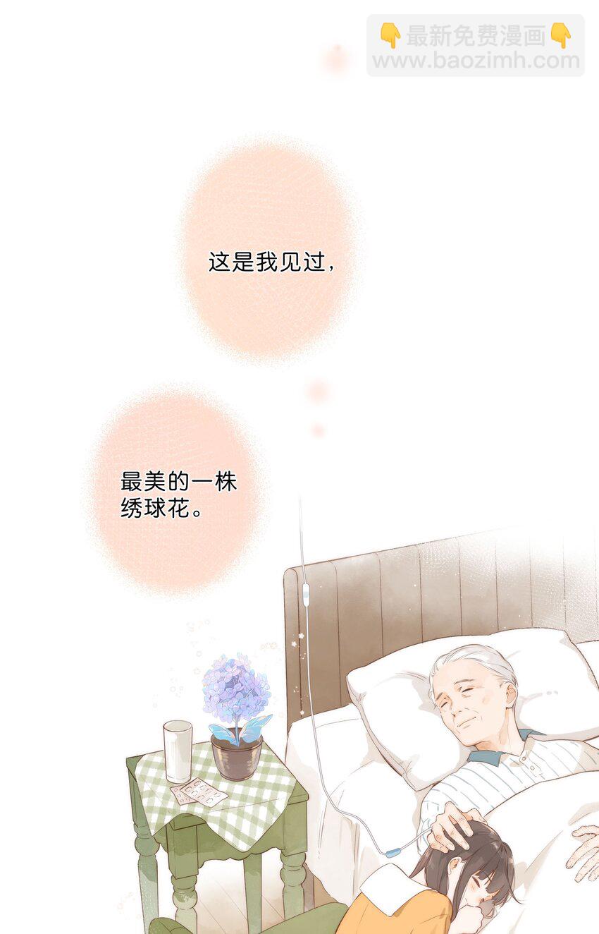 街角的向陽花屋 - 第46話 希望的花 - 4