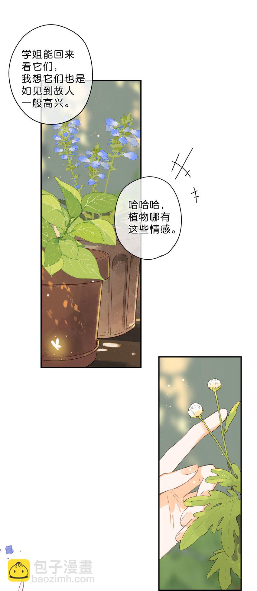 街角的向陽花屋 - 第65話 藏在溫室裡的懷念(1/2) - 5