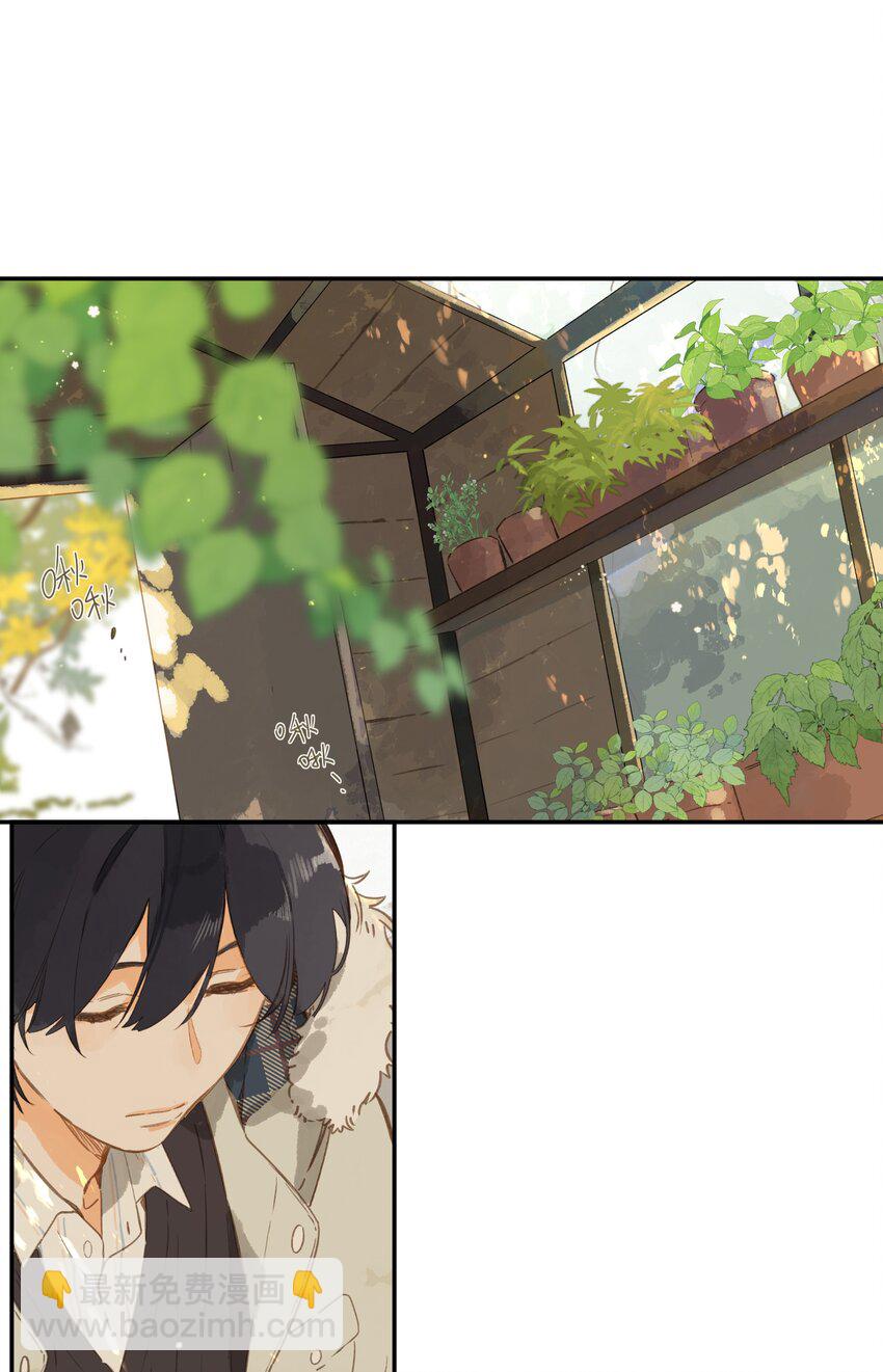 街角的向陽花屋 - 第65話 藏在溫室裡的懷念(1/2) - 1