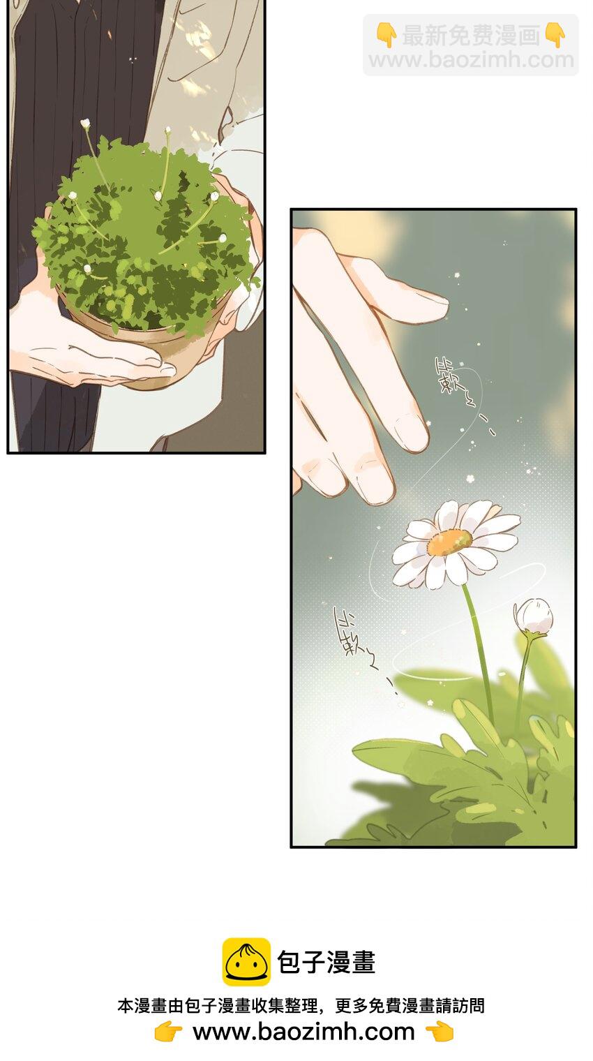 街角的向陽花屋 - 第65話 藏在溫室裡的懷念(1/2) - 2