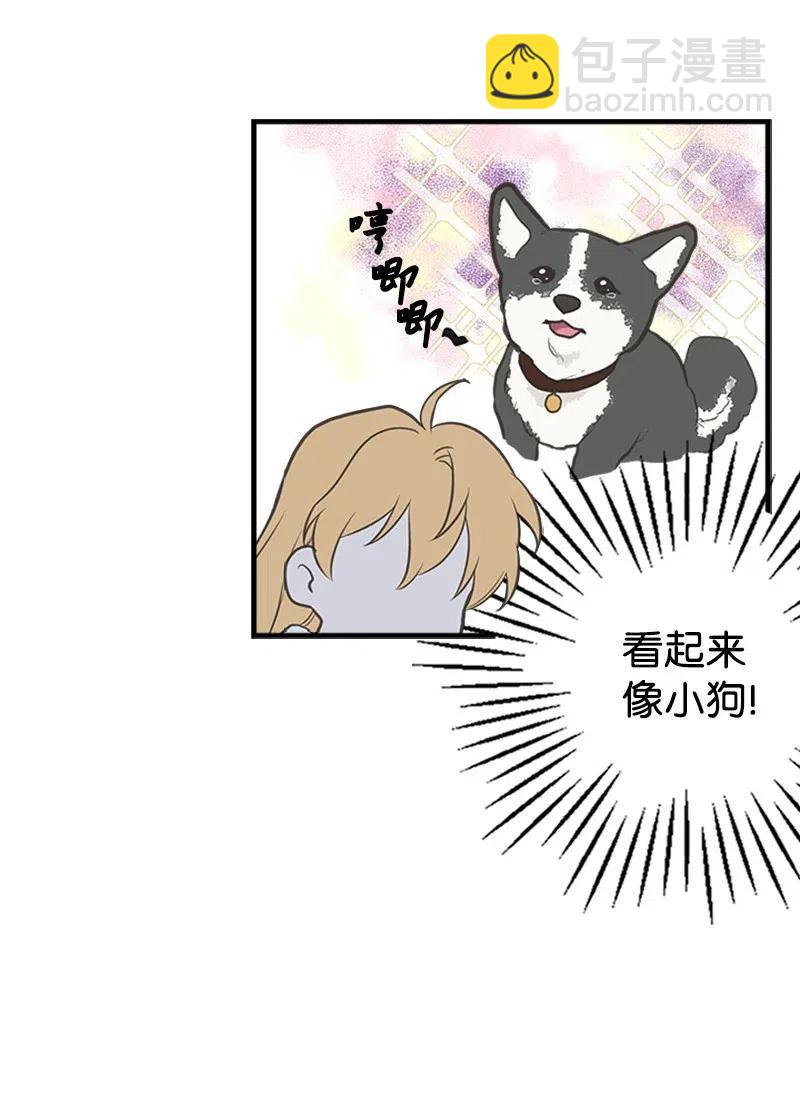 12 我替你承受痛苦(1/2)-第12话