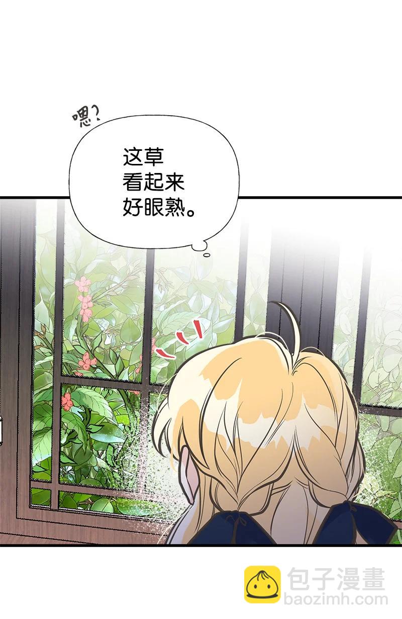 36 奇怪的镜子(1/2)-第36话