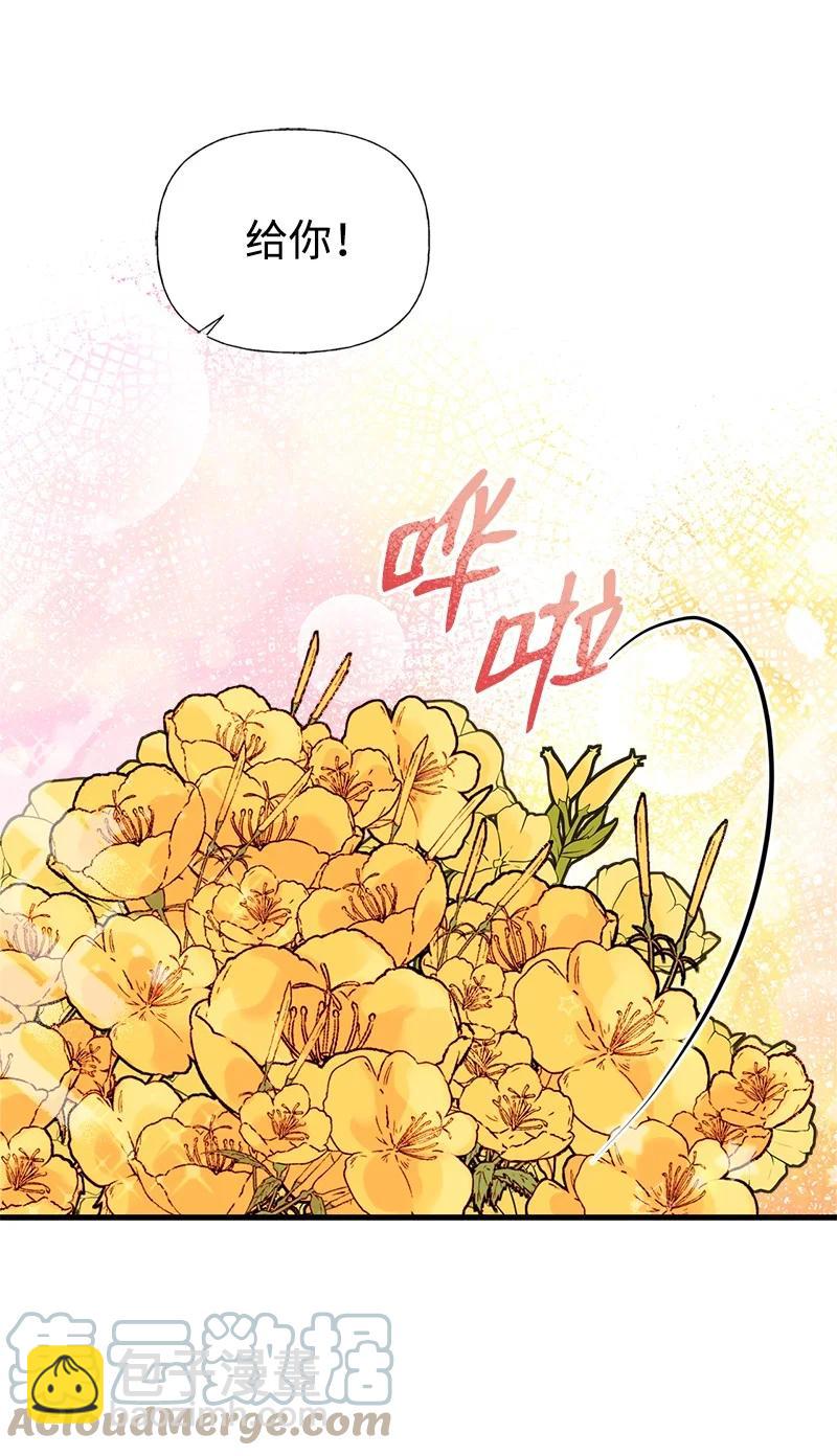 48 帕尔的故事(1/2)-第48话