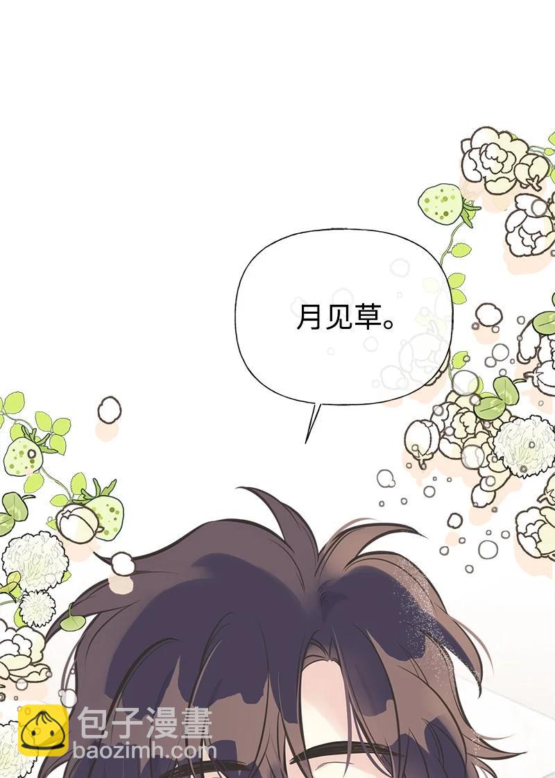 48 帕尔的故事(1/2)-第48话