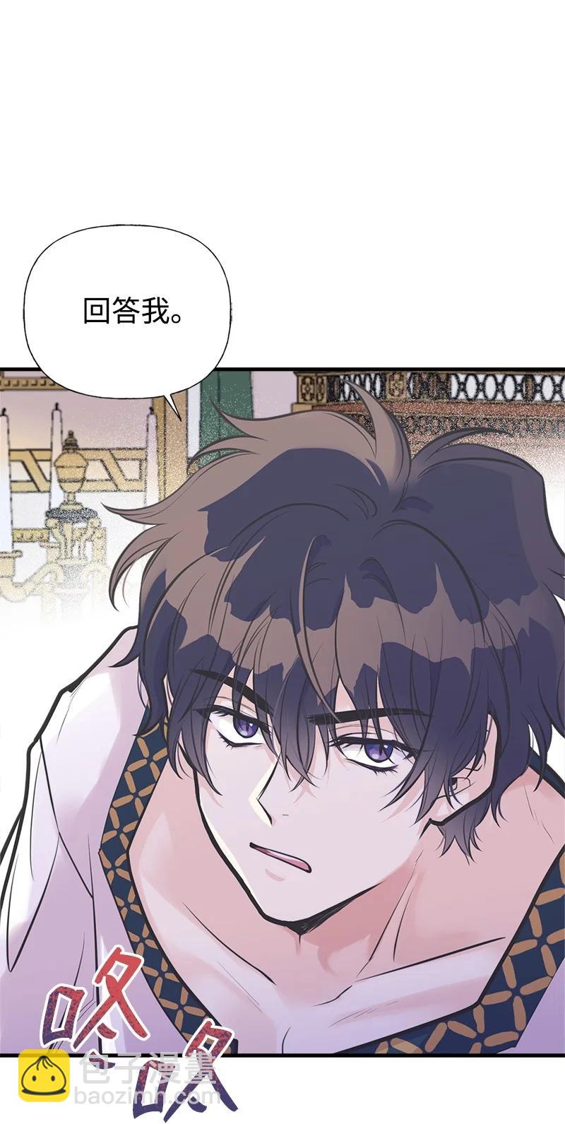 48 帕尔的故事(1/2)-第48话