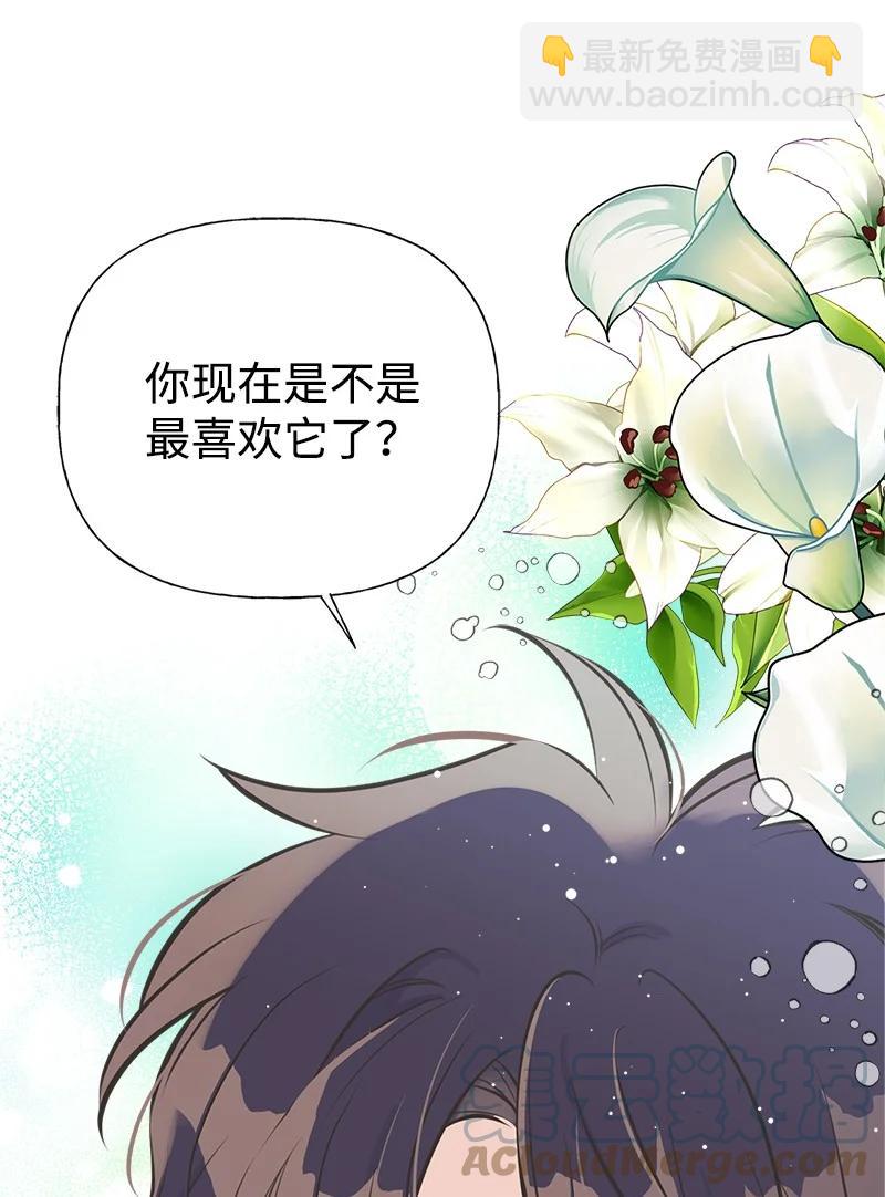 52 雪球(1/2)-第52话