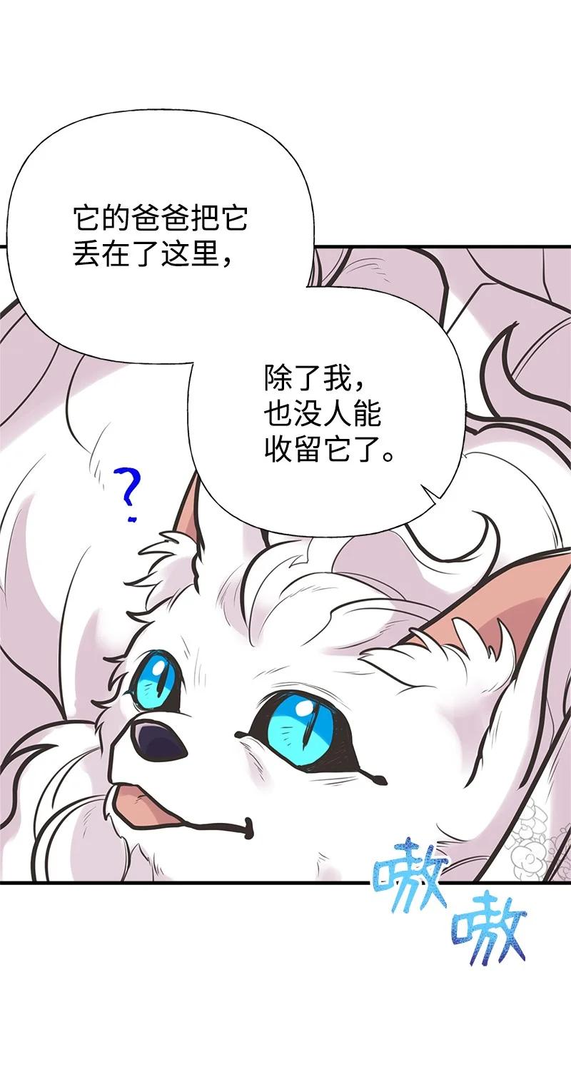 52 雪球(1/2)-第52话