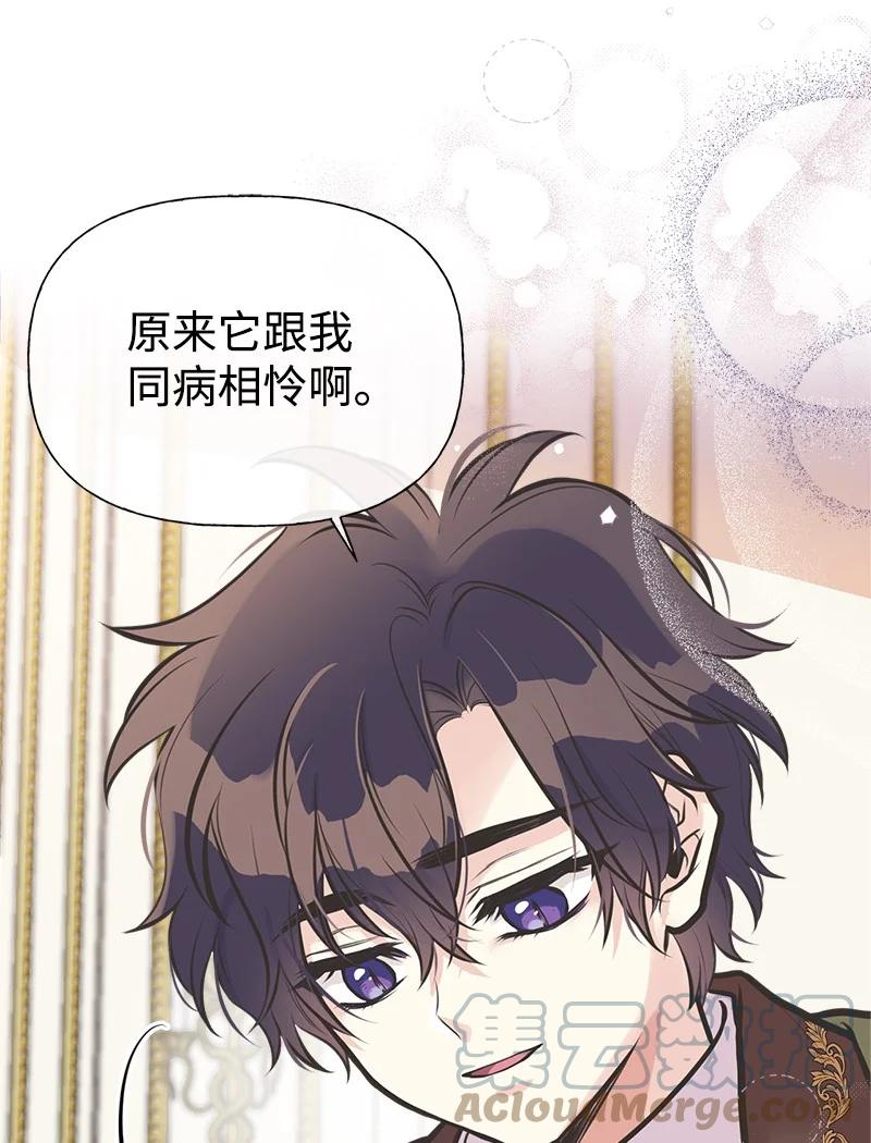 52 雪球(1/2)-第52话