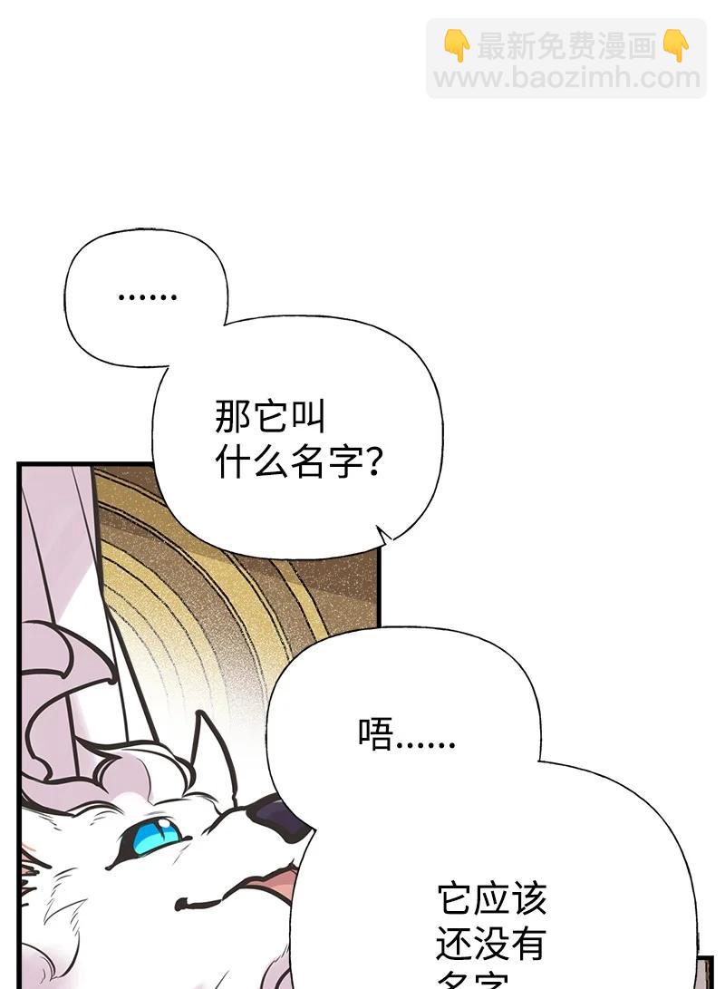 52 雪球(1/2)-第52话