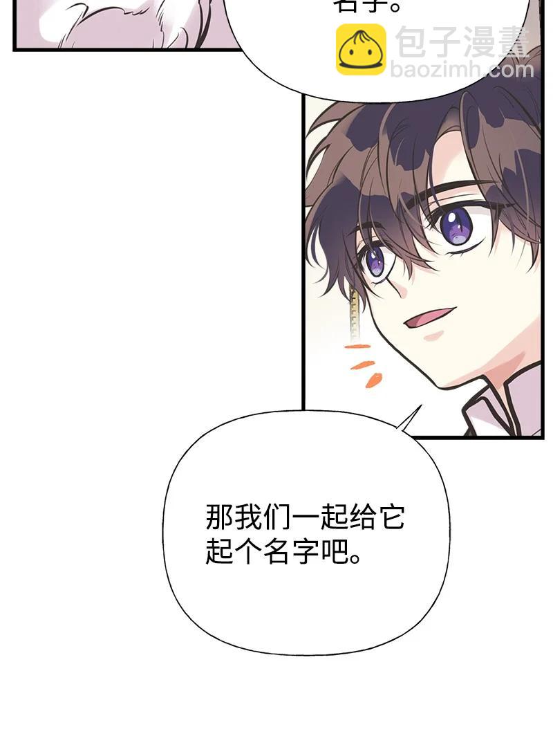 52 雪球(1/2)-第52话