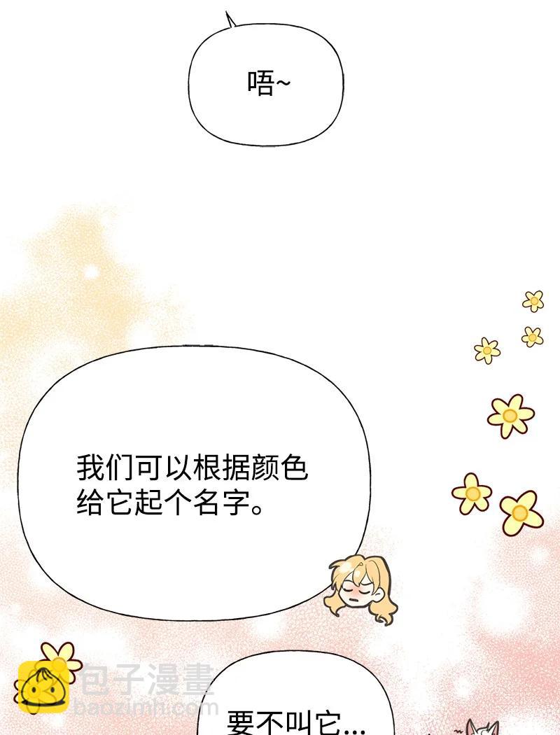 52 雪球(1/2)-第52话