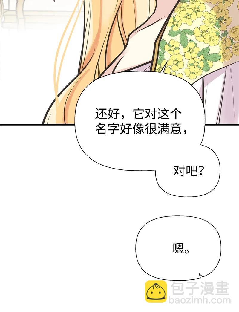 52 雪球(1/2)-第52话