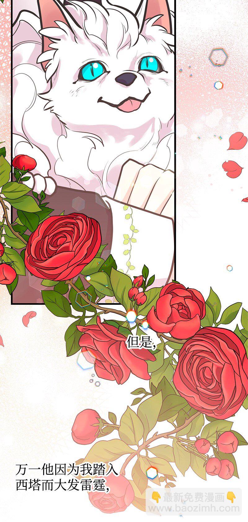 57 前任公爵夫人(1/2)-第58话