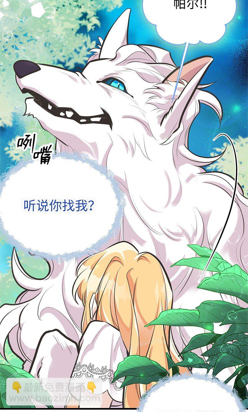 64 见到帕尔(1/2)-第64话