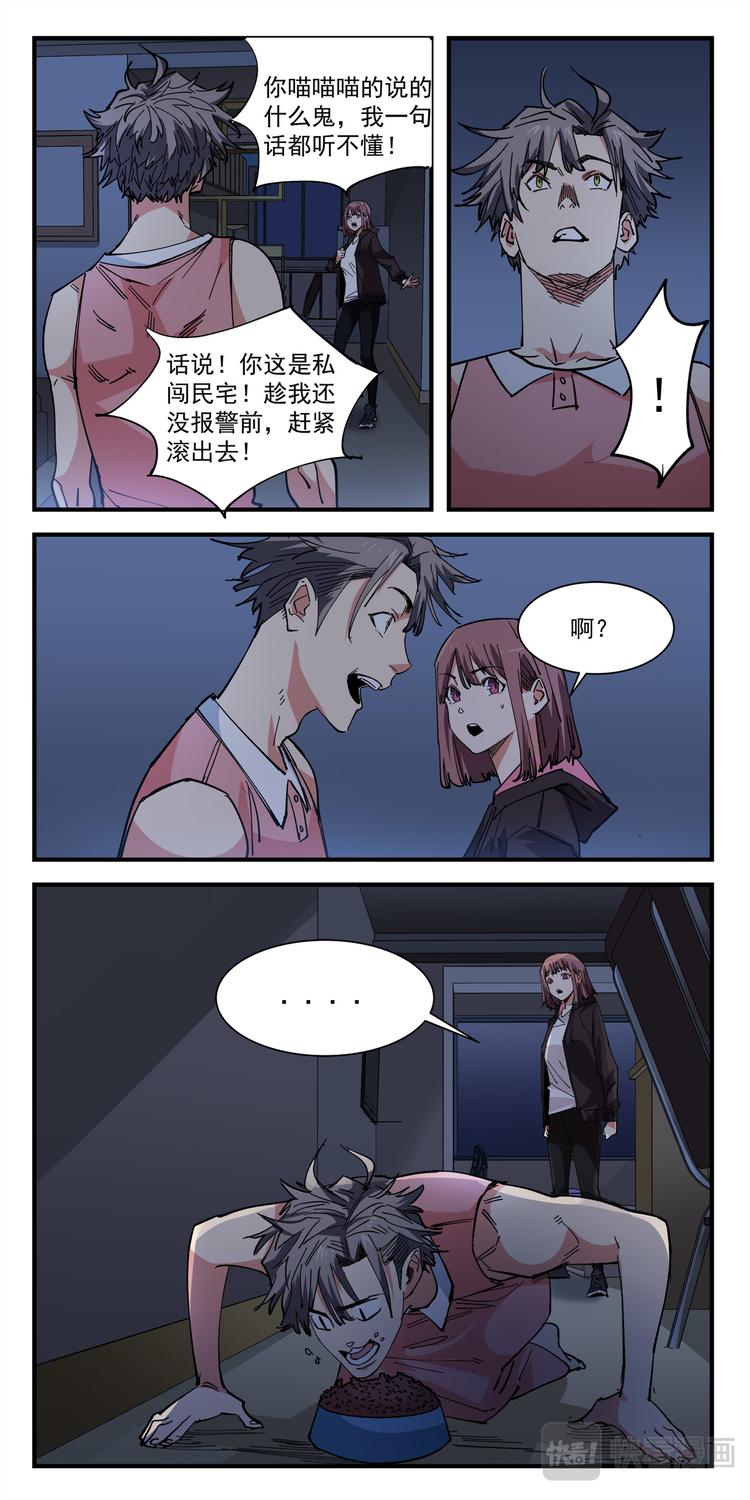 第4话 猫生赢家-第4话