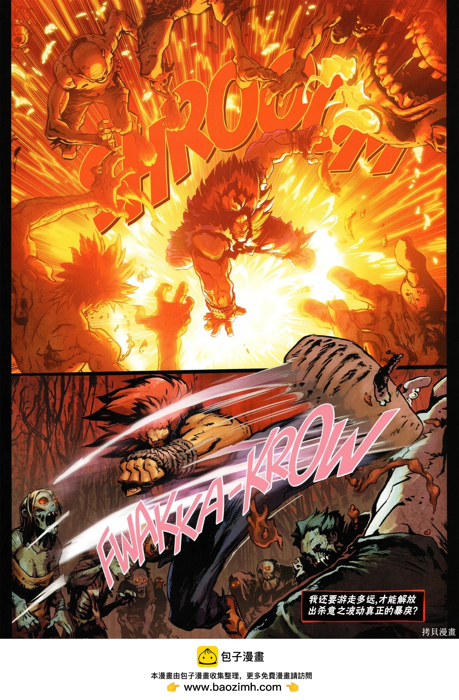 街頭霸王 特刊合集 - 5代總集下(3/3) - 1