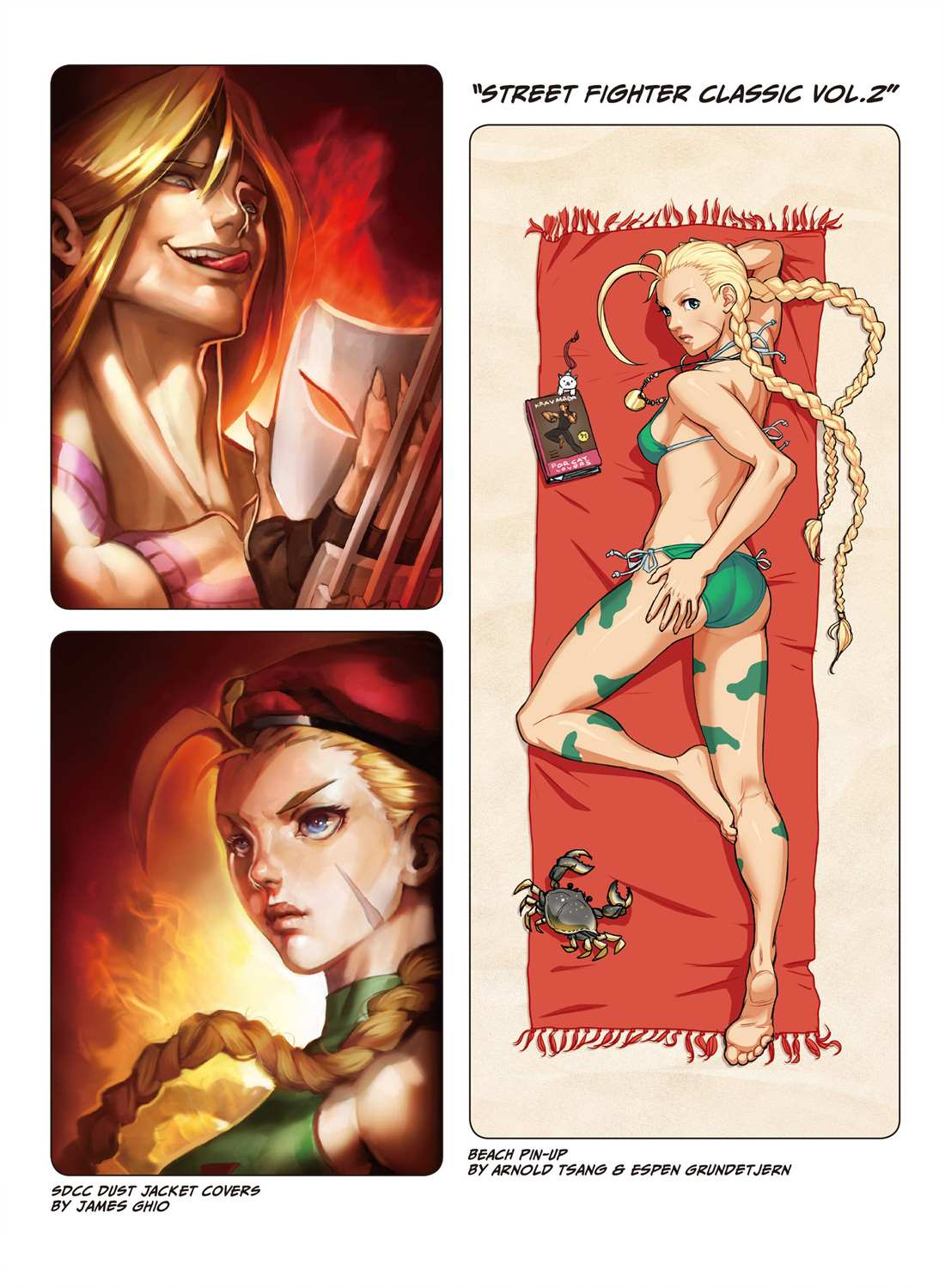 街頭霸王 特刊合集 - 舊畫集7(1/2) - 5