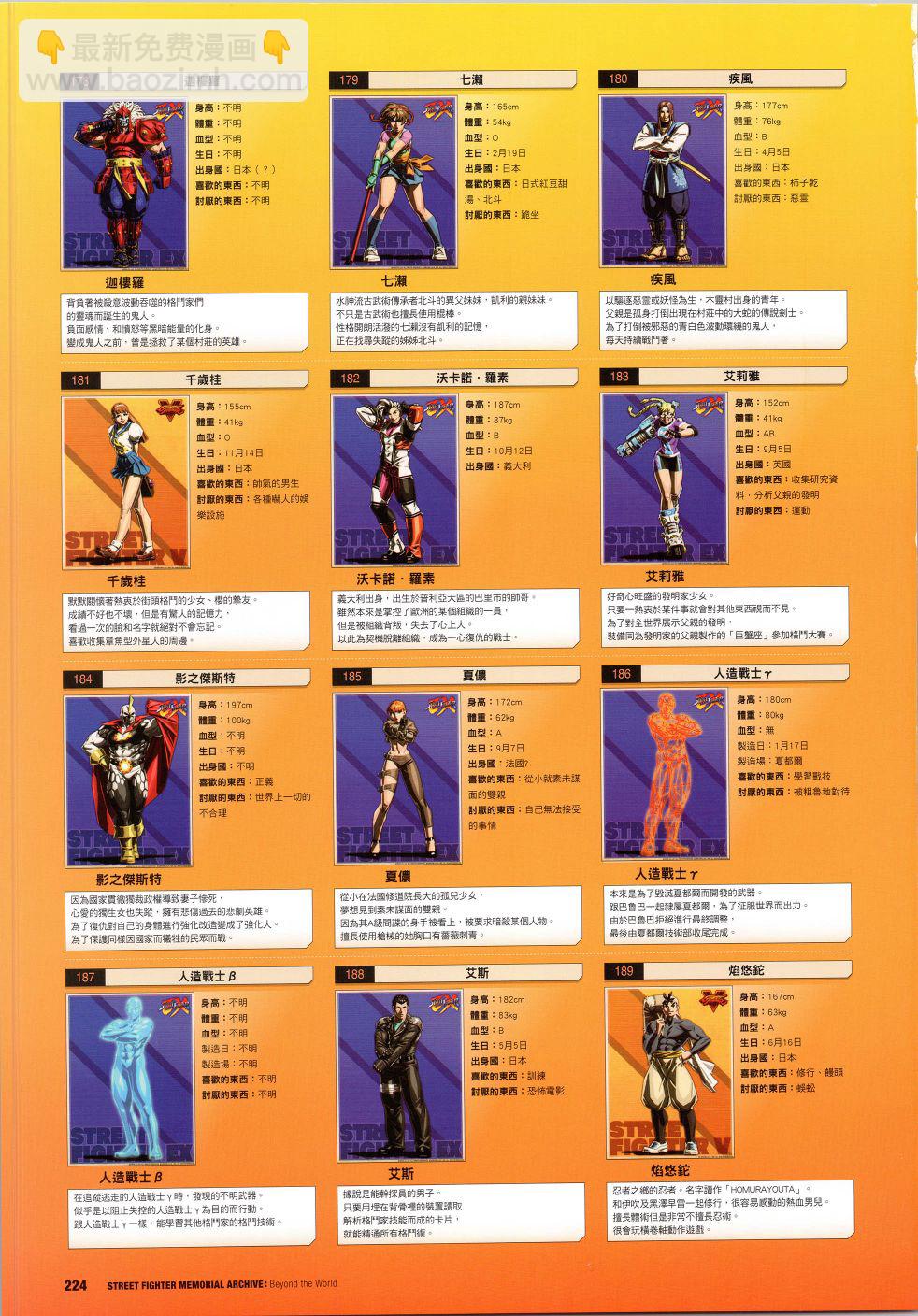 街頭霸王 特刊合集 - 30週年4(1/2) - 8