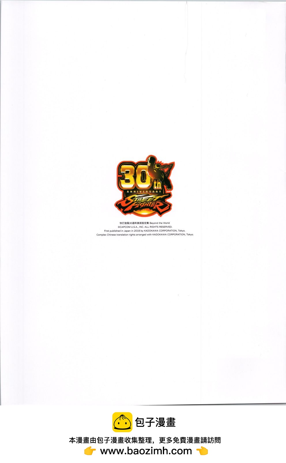 街頭霸王 特刊合集 - 30週年4(2/2) - 2