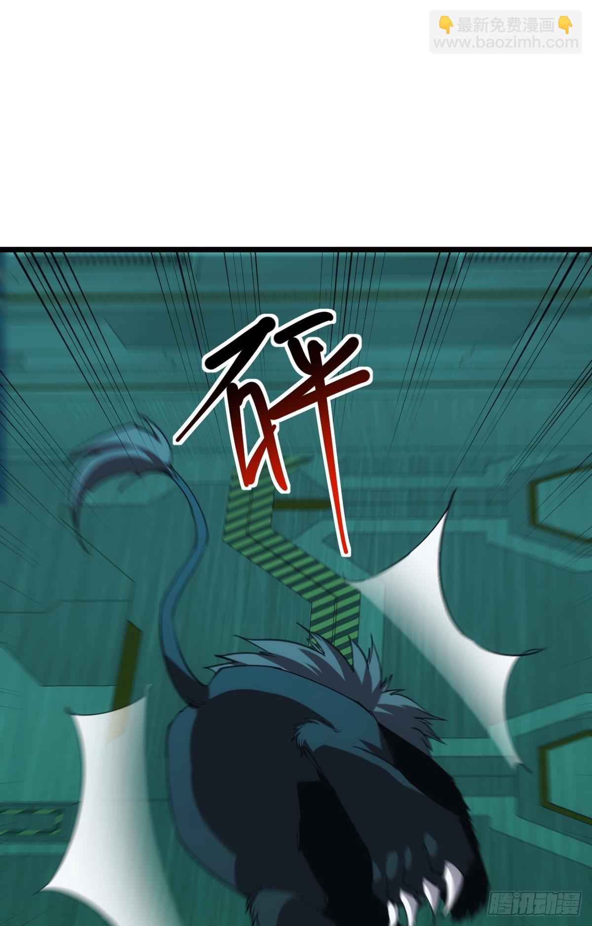 完美的她(1/2)-第54话