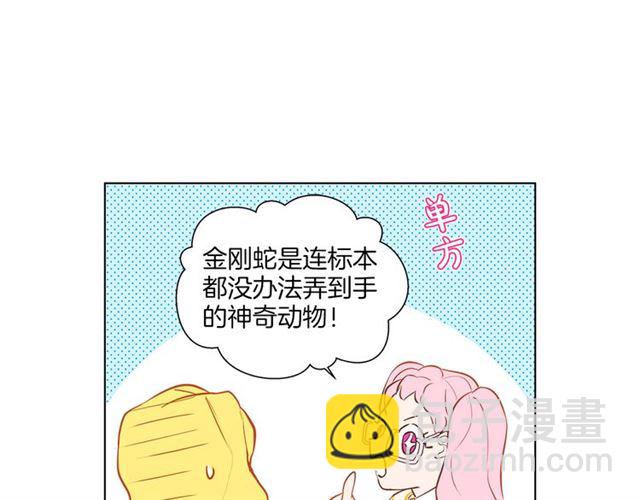 金髮精靈師之天才的煩惱 - 第17話 坑爹的阿杜(3/4) - 5