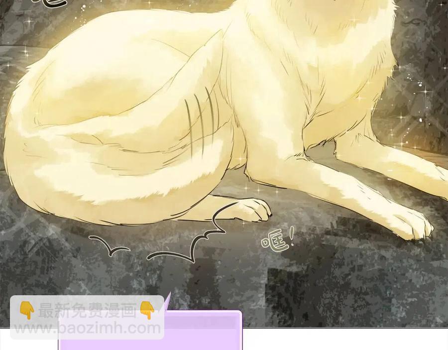 金髮精靈師之天才的煩惱 - 第49話 精靈大變身！(4/4) - 1