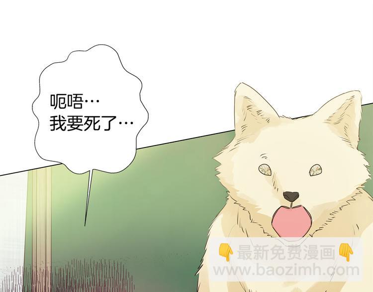 金髮精靈師之天才的煩惱 - 第55話 仙女下凡塵(1/4) - 5