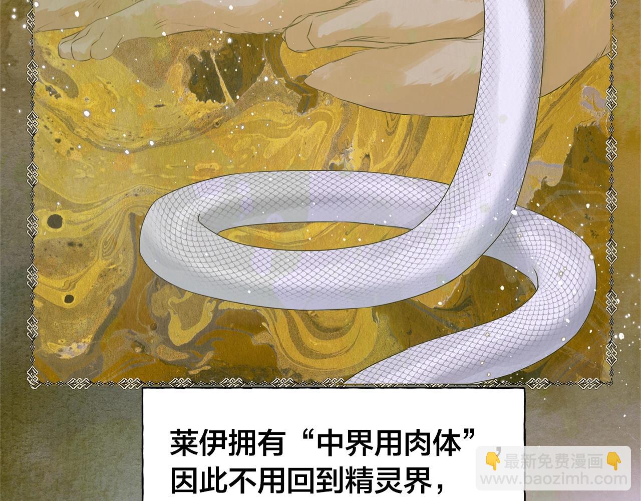 金髮精靈師之天才的煩惱 - 第67話 勇闖奴隸島(2/5) - 5