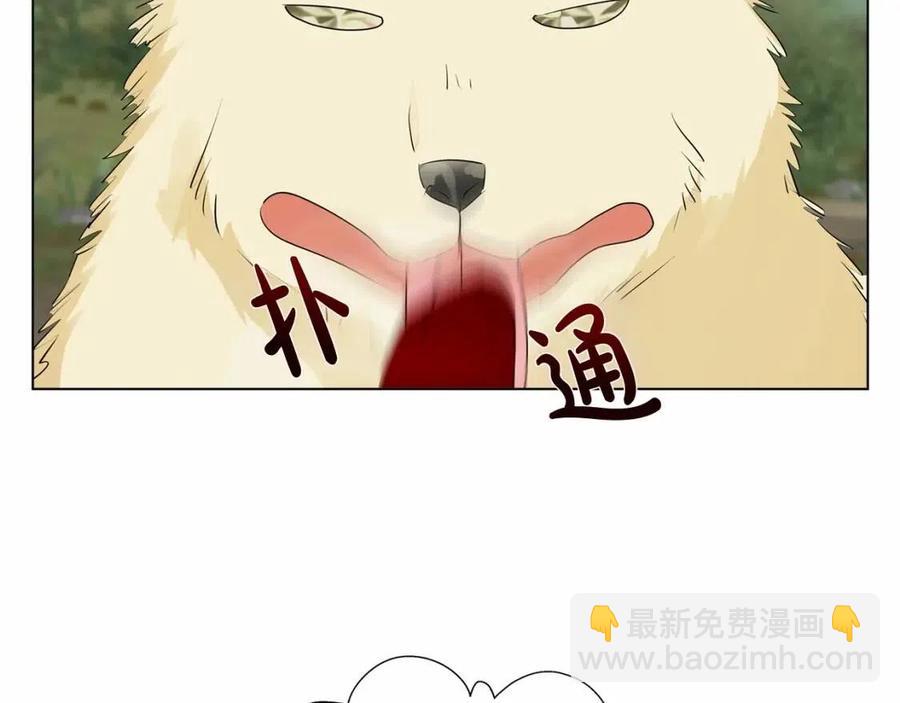 金髮精靈師之天才的煩惱 - 第三季 ·啓·山賊來襲(4/5) - 8