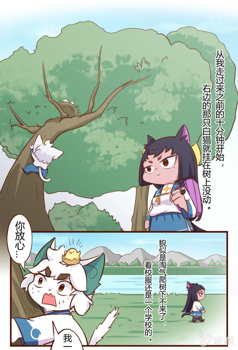 京劇貓喵日常 - 初遇！明月與白糖 上 - 2